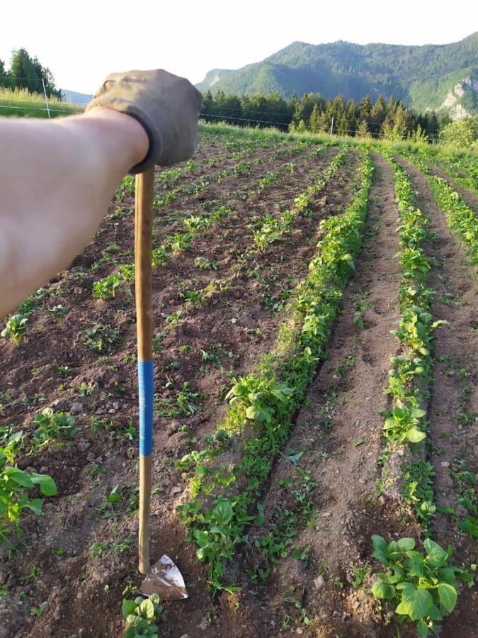 Tourist Farm Strle With Great Local Food Villa Cerknica ภายนอก รูปภาพ