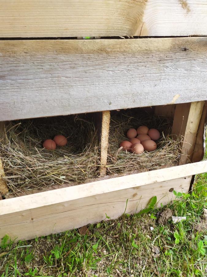 Tourist Farm Strle With Great Local Food Villa Cerknica ภายนอก รูปภาพ