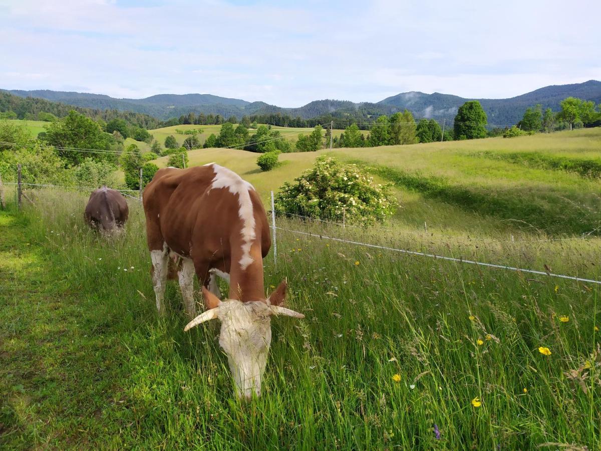 Tourist Farm Strle With Great Local Food Villa Cerknica ภายนอก รูปภาพ