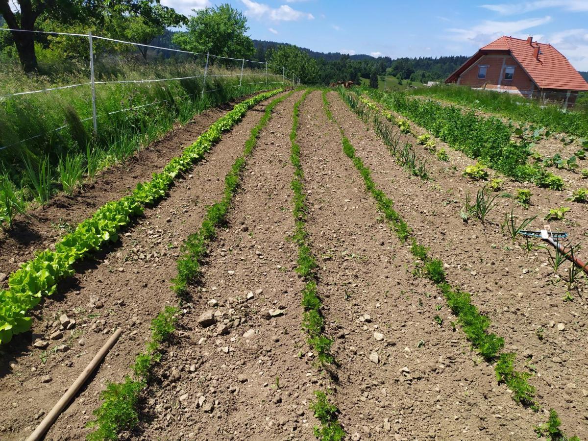 Tourist Farm Strle With Great Local Food Villa Cerknica ภายนอก รูปภาพ