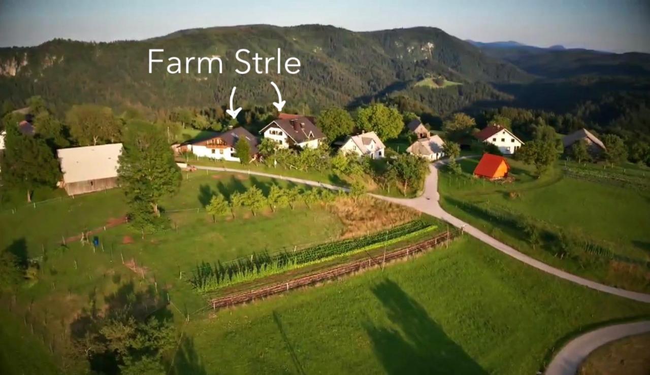 Tourist Farm Strle With Great Local Food Villa Cerknica ภายนอก รูปภาพ