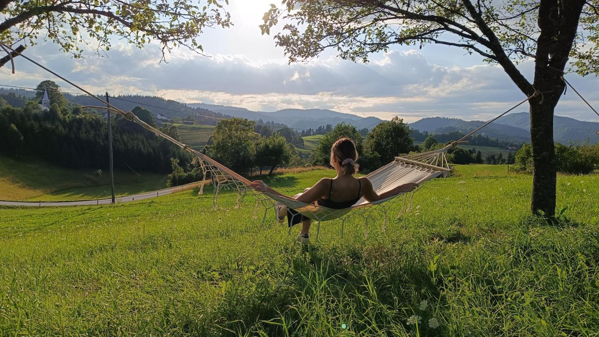 Tourist Farm Strle With Great Local Food Villa Cerknica ภายนอก รูปภาพ