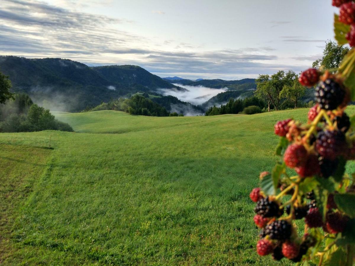 Tourist Farm Strle With Great Local Food Villa Cerknica ภายนอก รูปภาพ