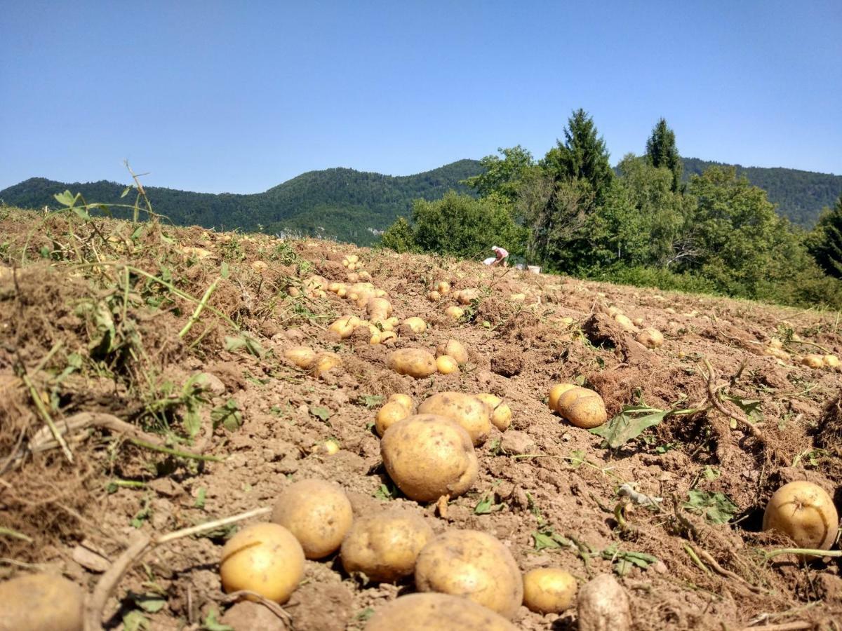 Tourist Farm Strle With Great Local Food Villa Cerknica ภายนอก รูปภาพ