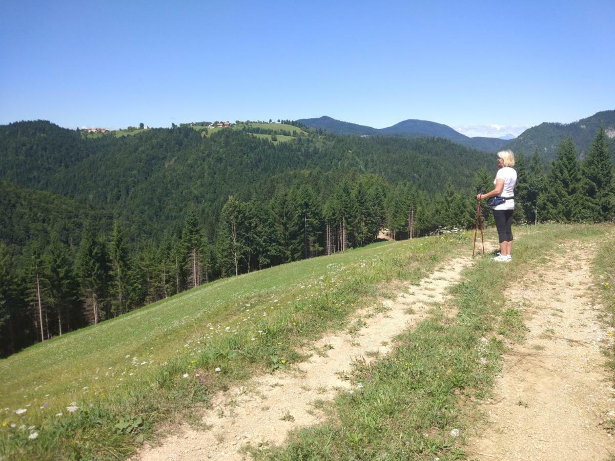Tourist Farm Strle With Great Local Food Villa Cerknica ภายนอก รูปภาพ