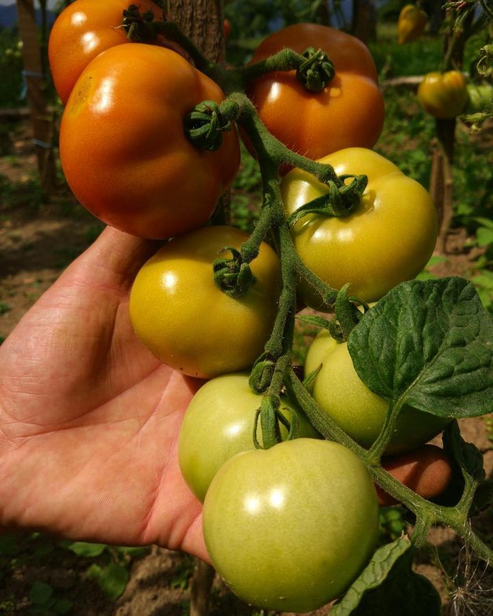 Tourist Farm Strle With Great Local Food Villa Cerknica ภายนอก รูปภาพ